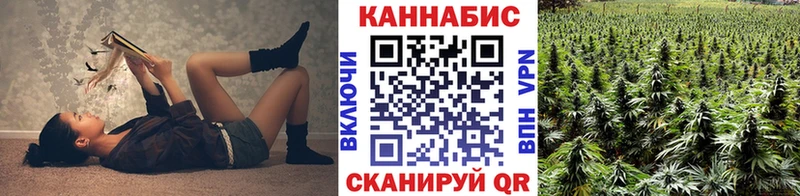 Марихуана Amnesia  Видное 